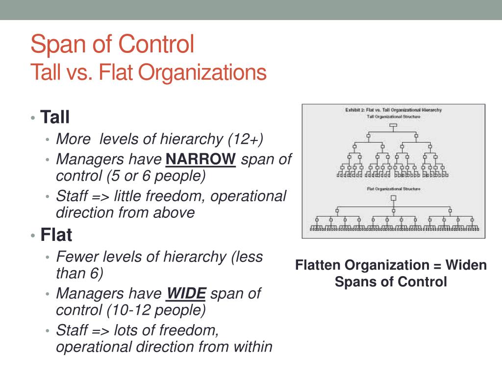 Today's Preference To Flat Vs Tall Organizational Structures at Paul
