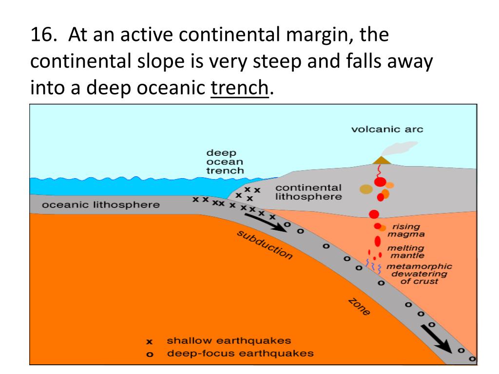 PPT OCEANOGRAPHY Chapter 23 The Ocean Floor PowerPoint Presentation
