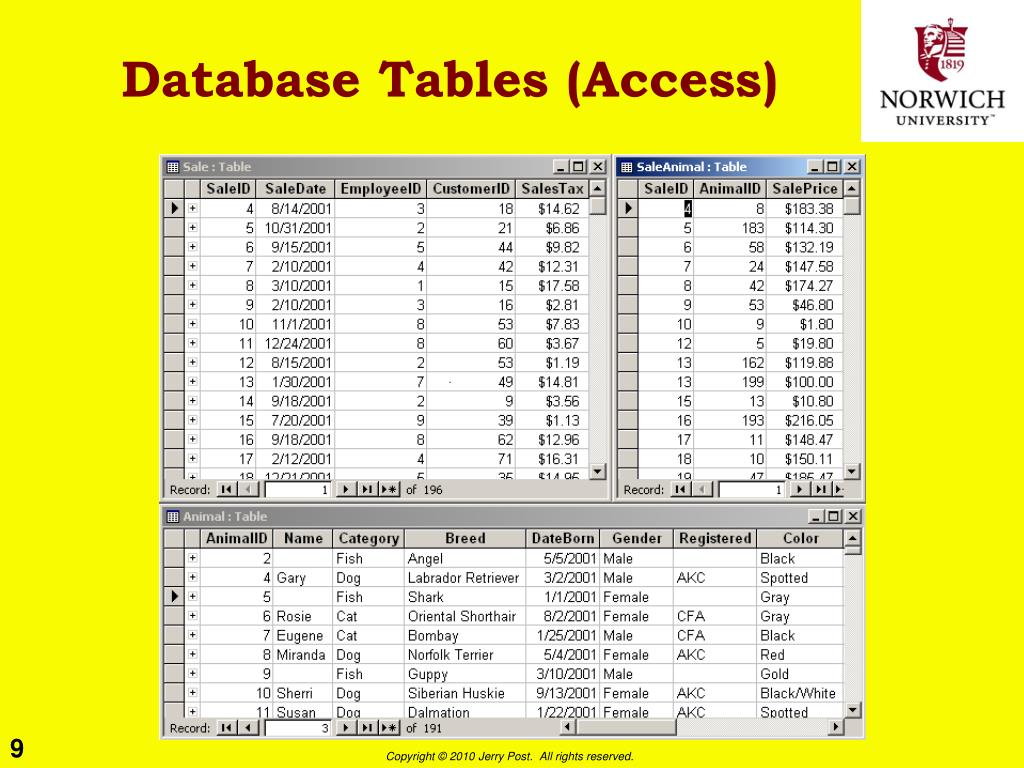 PPT Introduction to DBMS PowerPoint Presentation, free download ID