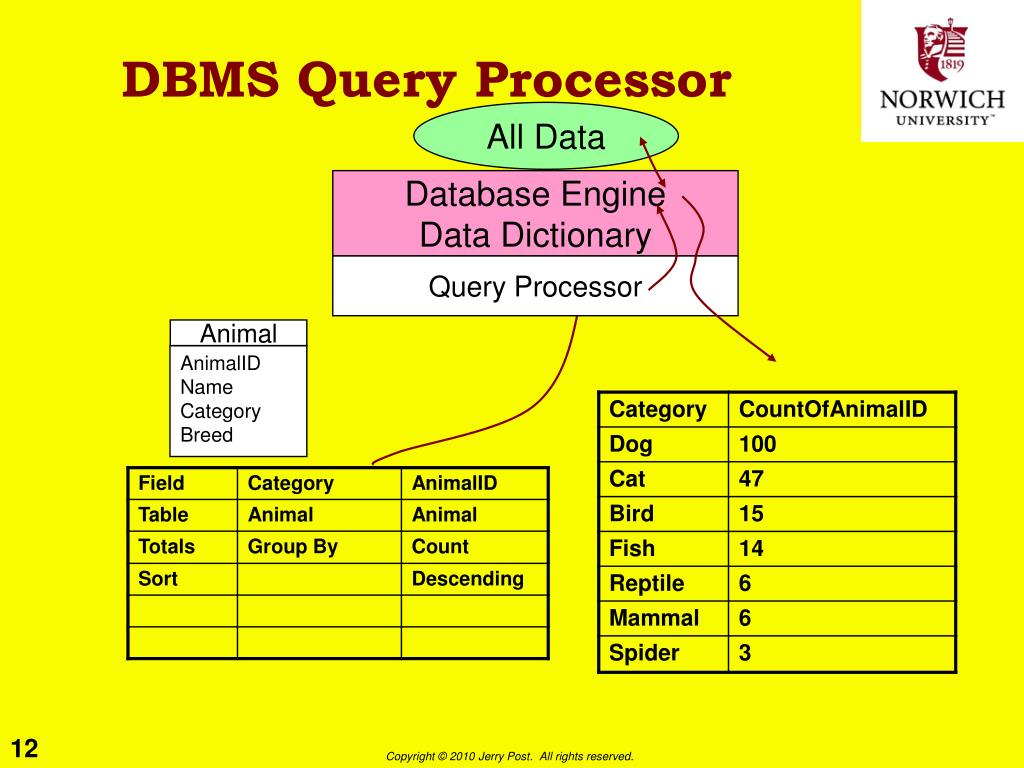 PPT Introduction to DBMS PowerPoint Presentation, free download ID1640283