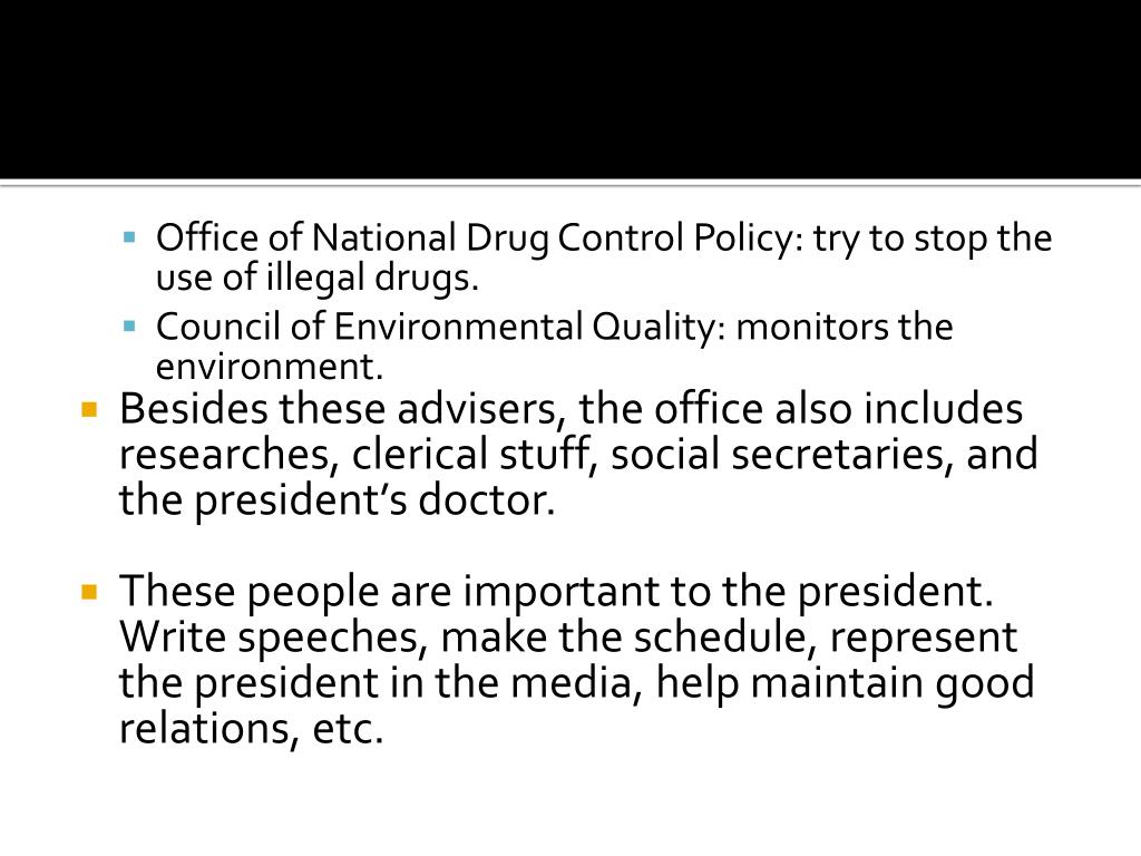 Executive Branch Guided Strategies mx.up.edu.ph