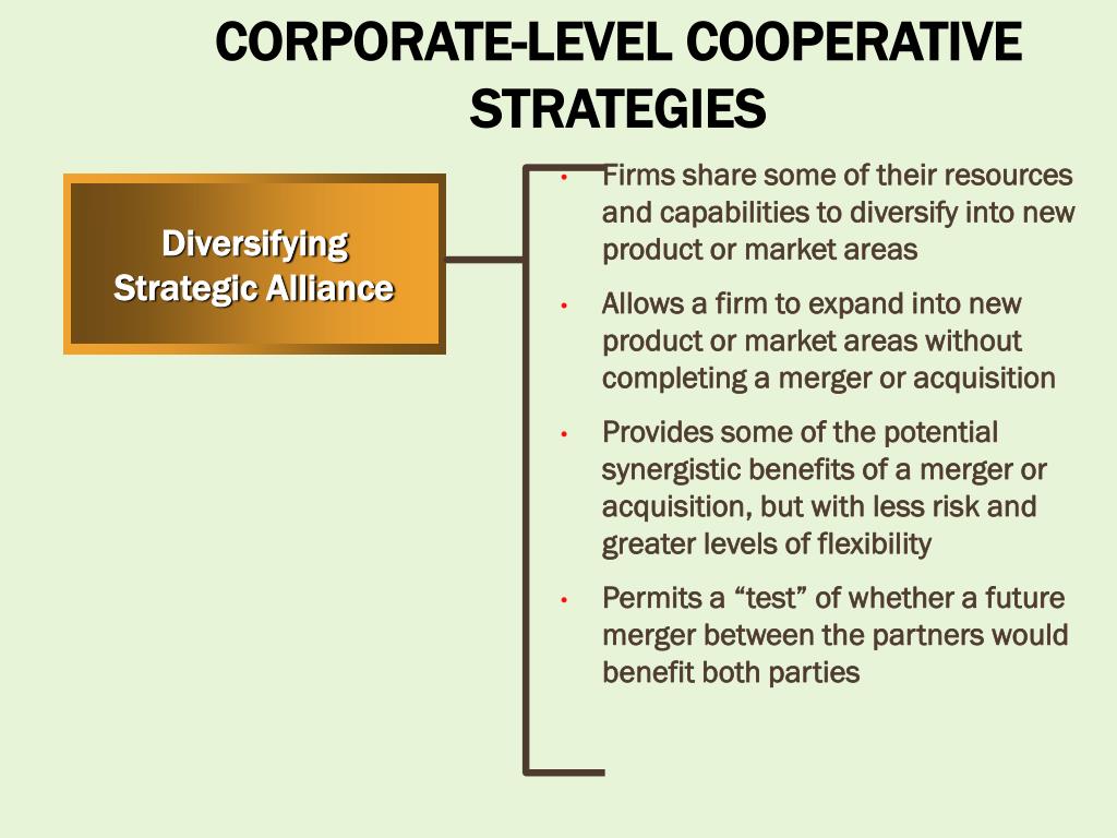 PPT CHAPTER 9 COOPERATIVE IMPLICATIONS FOR STRATEGY PowerPoint