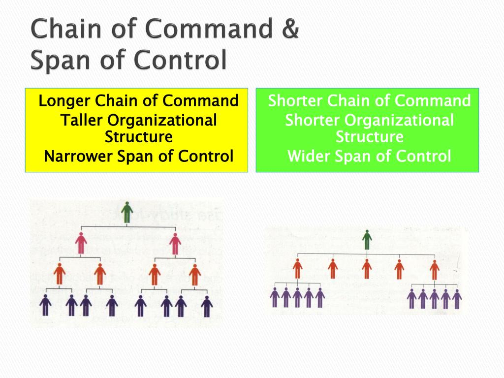 PPT Unit 2 Business Organizations PowerPoint Presentation, free download ID1665917