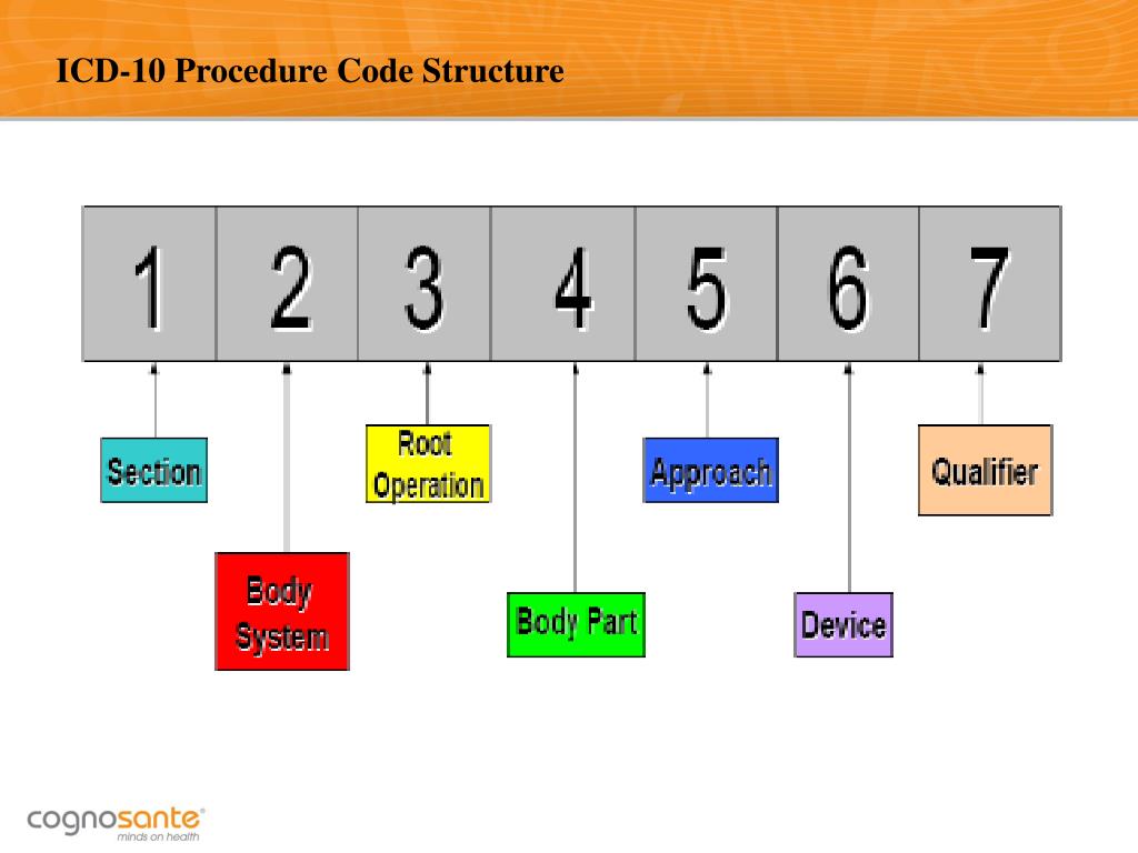 PPT ICD10 Provider Education PowerPoint Presentation, free download ID1671000