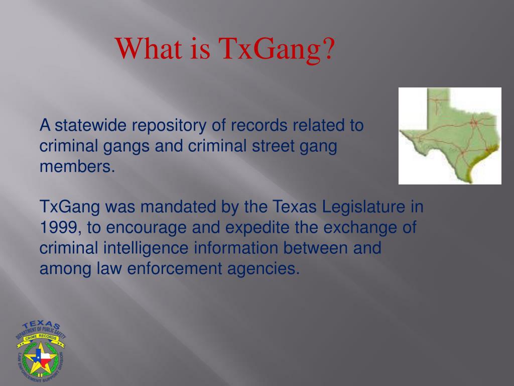 PPT TxGANG PowerPoint Presentation, free download ID1675403