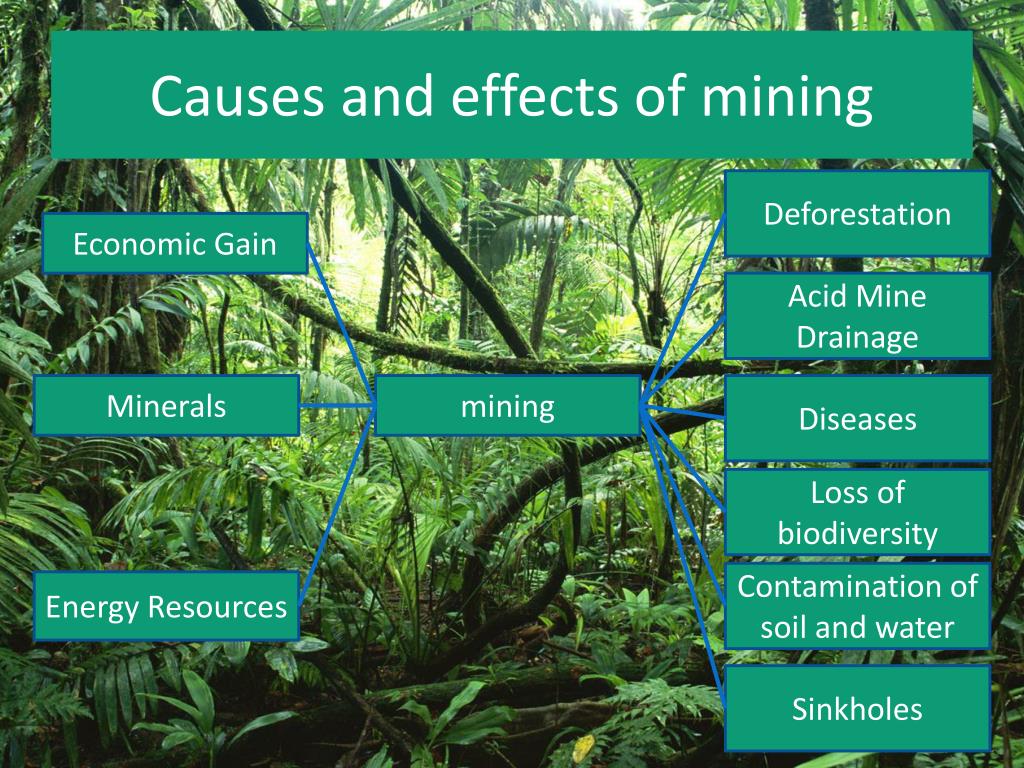 PPT Human Impact PowerPoint Presentation, free download ID1677532