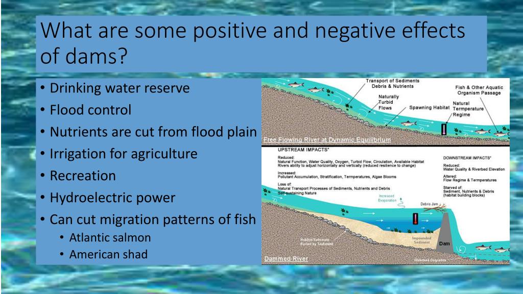 PPT Hydrosphere PowerPoint Presentation, free download ID1687999