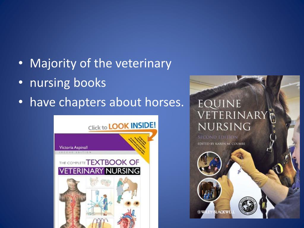 PPT conference 2014 Lipica, Slovenia 24.26. 9. 2014