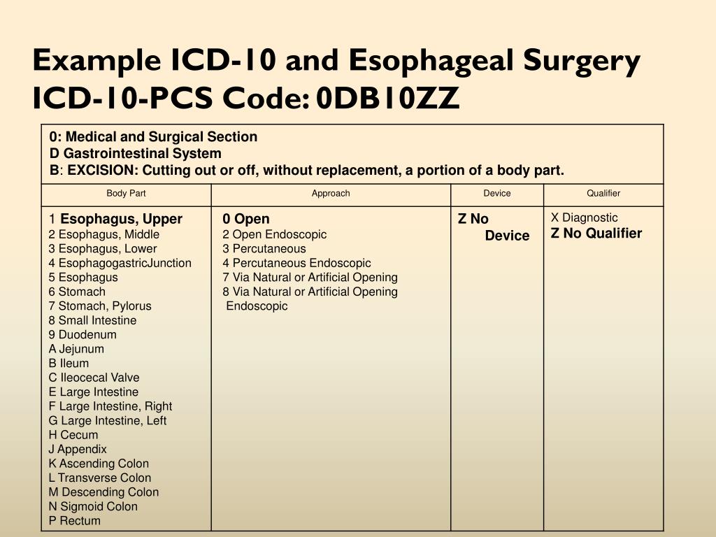 PPT The ICD10 Implementation Challenge ( I nternational C lassification of D iseases. Tenth