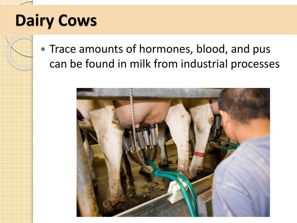 PPT 11/4 Bellringer Conventional Agriculture What is agriculture