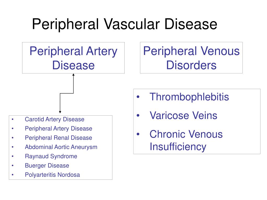 PPT Peripheral Vascular Disease PowerPoint Presentation, free
