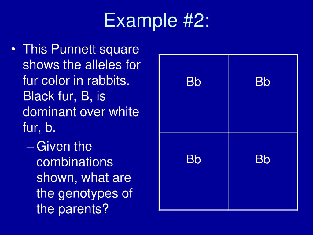 PPT Squares PowerPoint Presentation, free download ID1701978