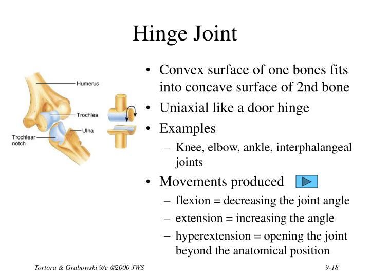 PPT Chapter 9 Joints PowerPoint Presentation ID1703136