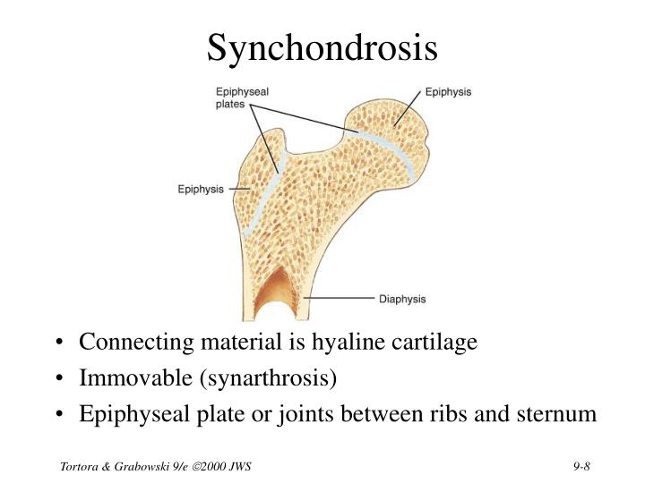 PPT Chapter 9 Joints PowerPoint Presentation ID1703136