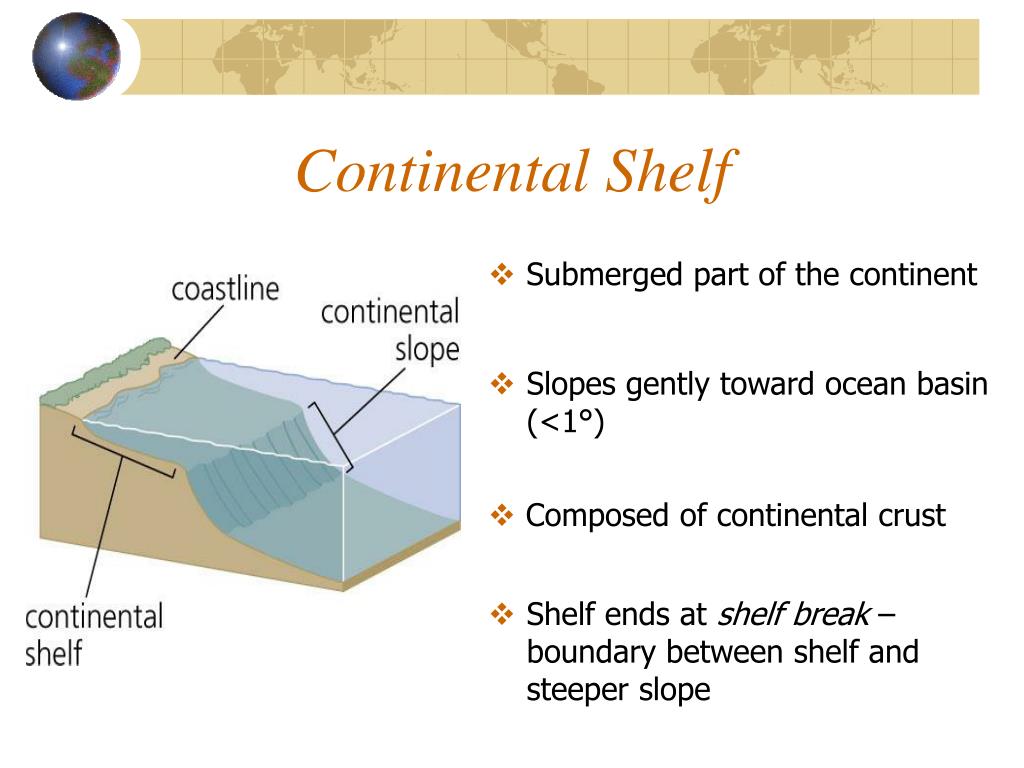 PPT Continental Margins and Ocean Basins PowerPoint Presentation