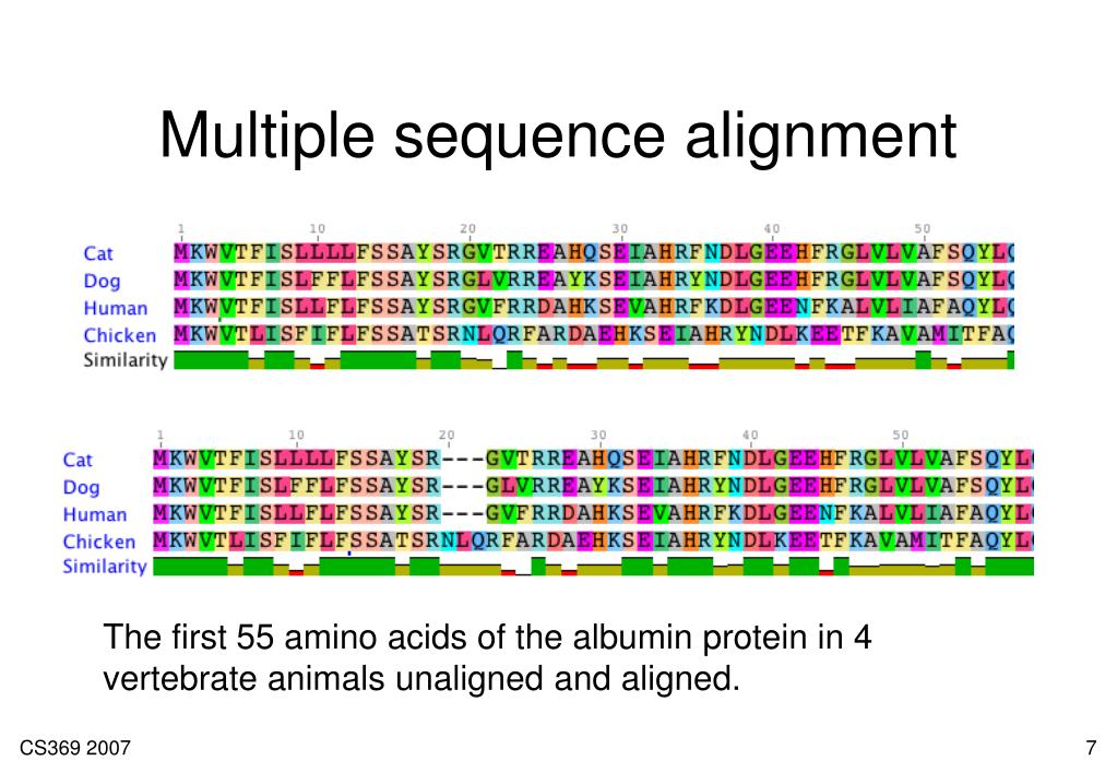 PPT Multiple Sequence Alignment PowerPoint Presentation, free download ID1707291