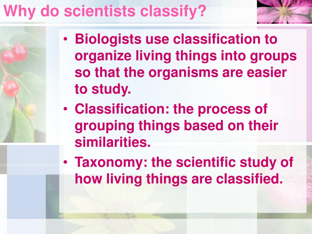 PPT Classification of Living Things Please write down everything in