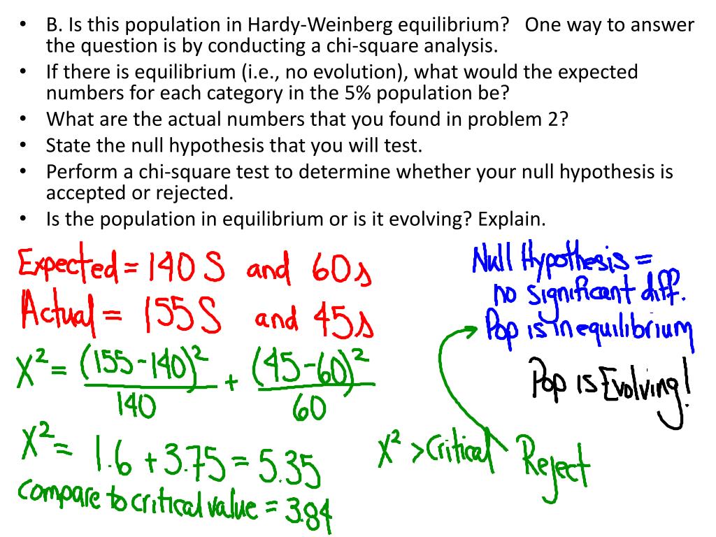 PPT HardyWeinberg Problems PowerPoint Presentation, free download