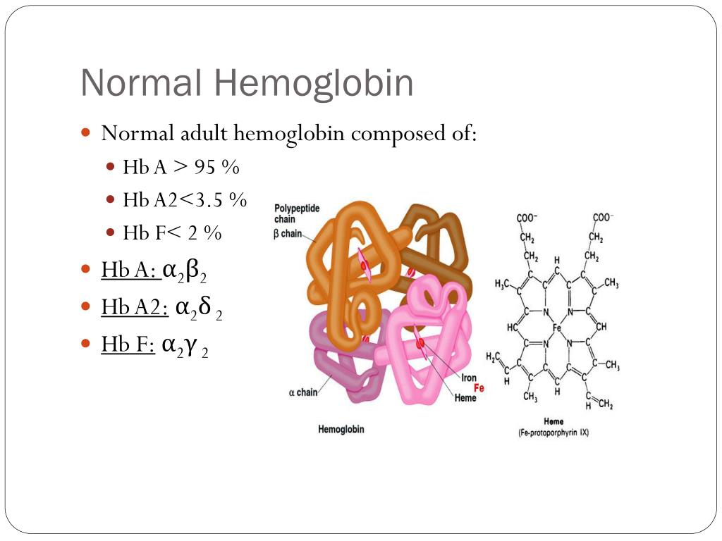 Hemoglobin Types