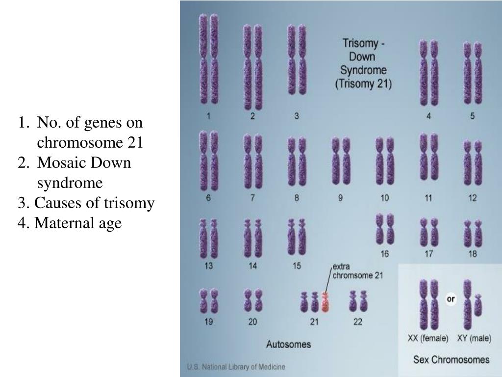 PPT Chromosomal Disorders PowerPoint Presentation, free download ID1719182