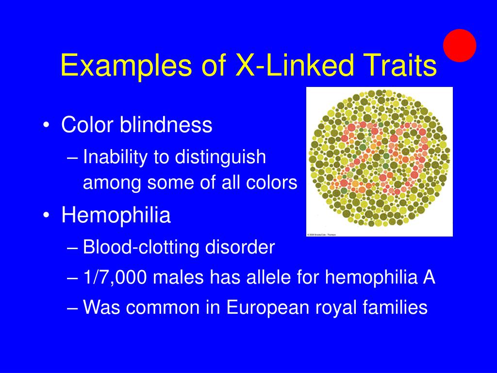 PPT Chromosomes and Human PowerPoint Presentation, free