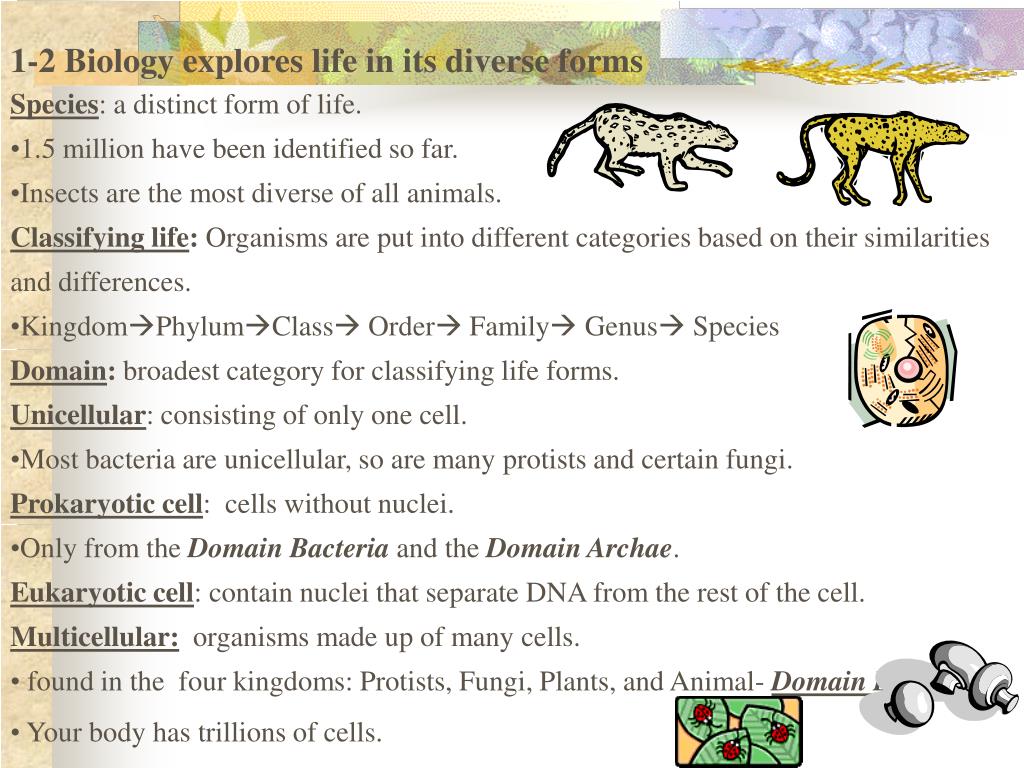 PPT Chapter 1 The Scope of Biology PowerPoint Presentation ID1720437