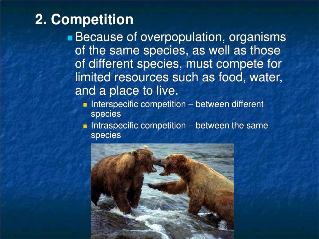 PPT From Darwin’s collection of evidence he created his theory of