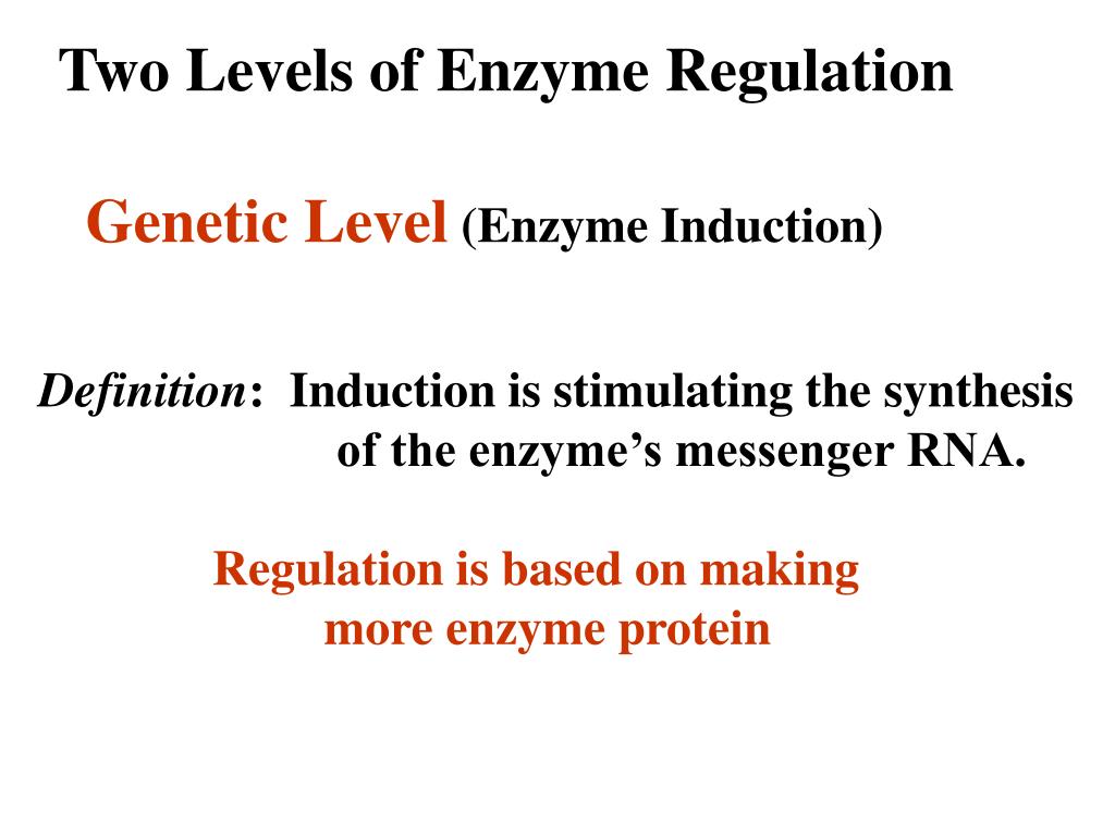 PPT Two Levels of Enzyme Regulation PowerPoint Presentation, free