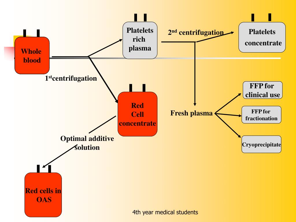 PPT Blood Component Therapy PowerPoint Presentation, free download