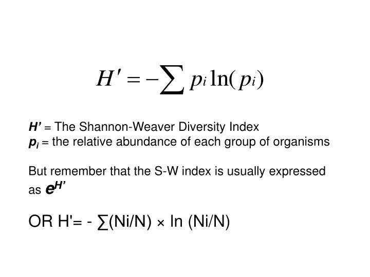 PPT How to calculate the ShannonWeaver diversity index PowerPoint