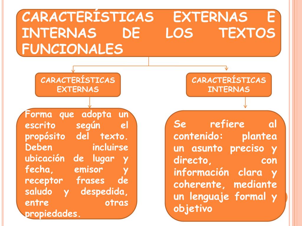 Textos Funcionales Cuadro Sinoptico Taller de Lectura y