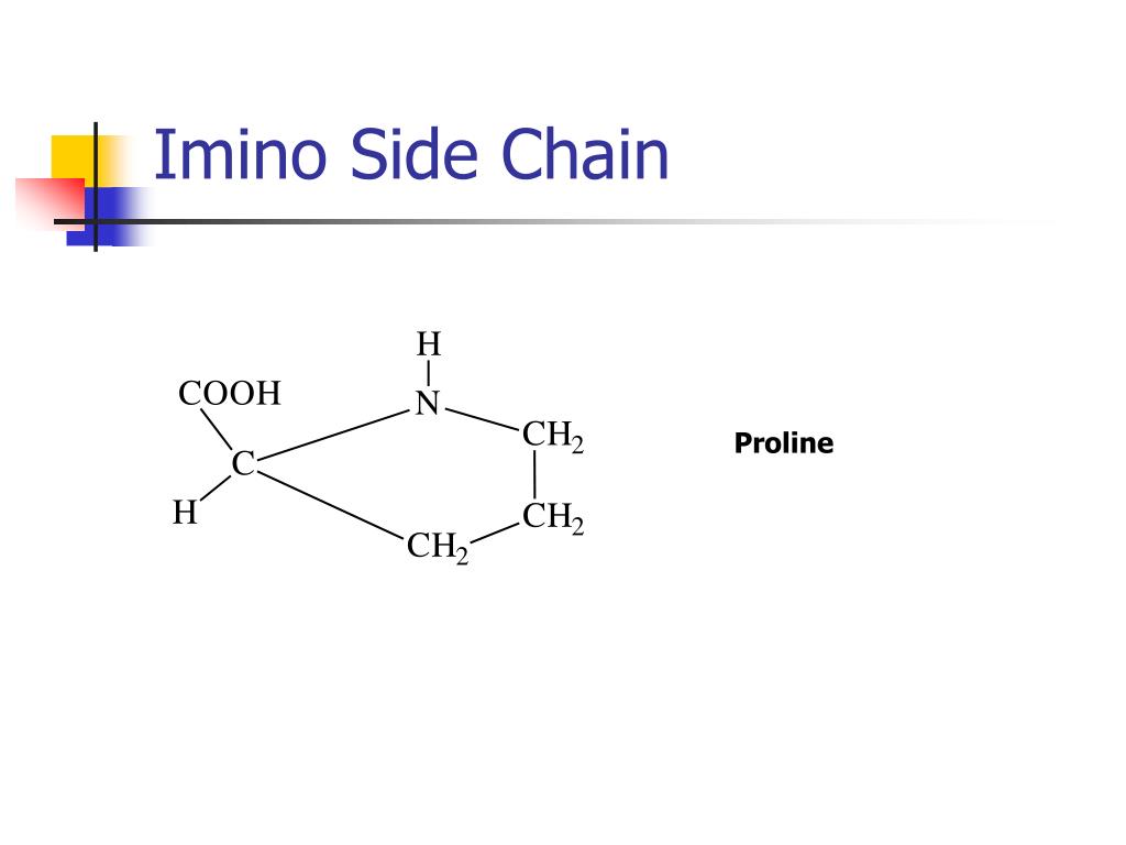 PPT AMINO ACID & PROTEIN PowerPoint Presentation, free download ID