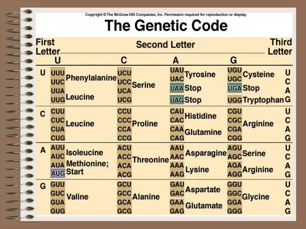 PPT BIO 105 PowerPoint Presentation, free download ID1742611