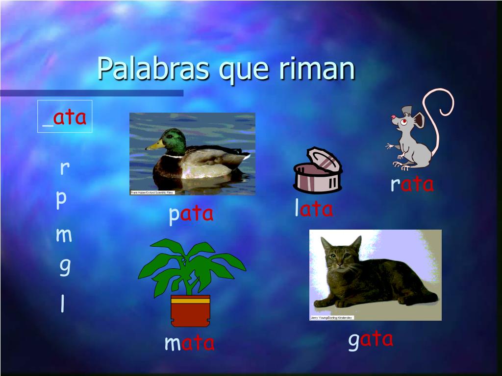 PPT Palabras que riman PowerPoint Presentation, free