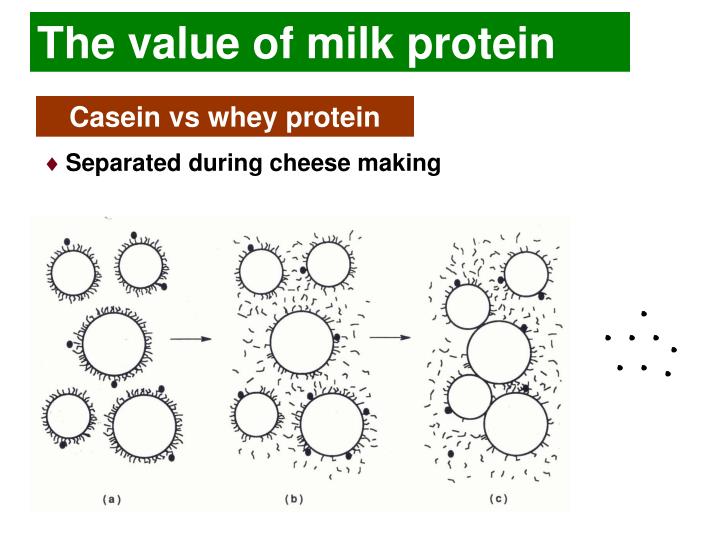PPT MILK COMPOSITION PROTEINS PowerPoint Presentation ID1744074