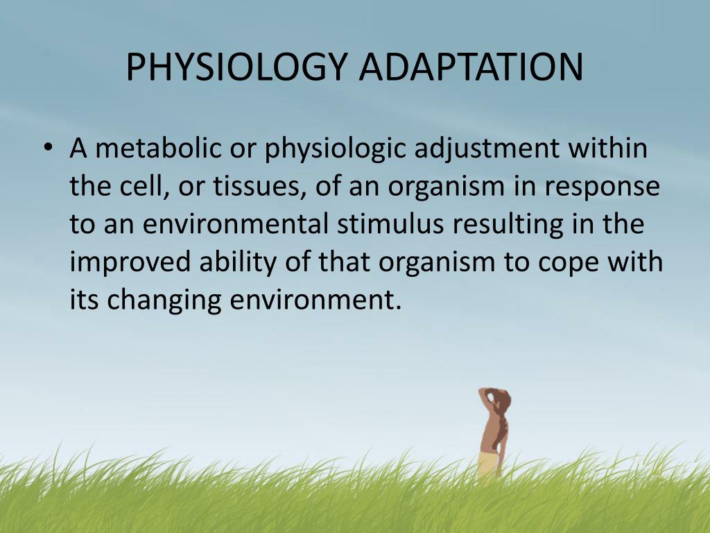 PPT ANIMAL ADAPTATION PowerPoint Presentation, free download ID1744811