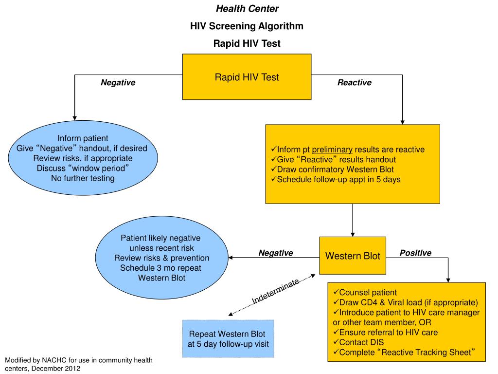 PPT Health Center HIV Screening Algorithm Rapid HIV Test PowerPoint