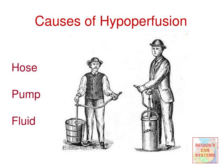 PPT Shock More than just low blood pressure PowerPoint Presentation