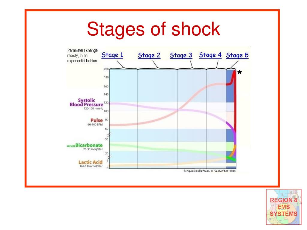 PPT Shock More than just low blood pressure PowerPoint Presentation