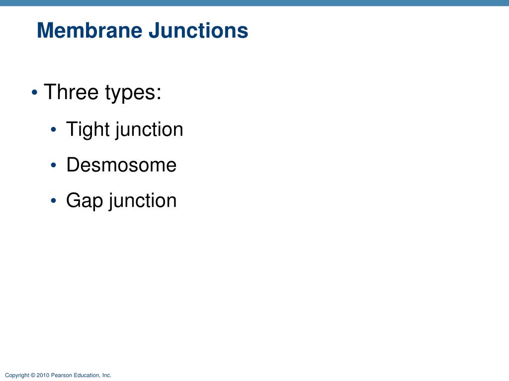 PPT 3 PowerPoint Presentation, free download ID1753796