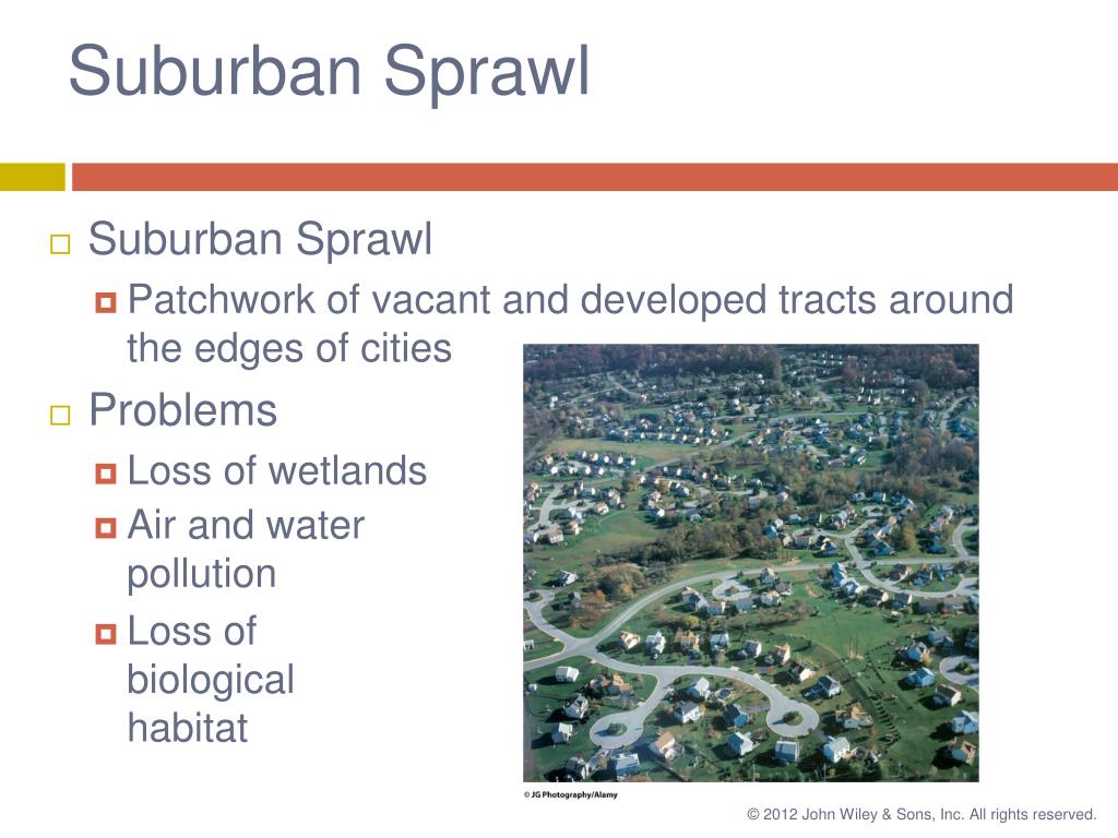 PPT The Urban Environment PowerPoint Presentation, free download ID