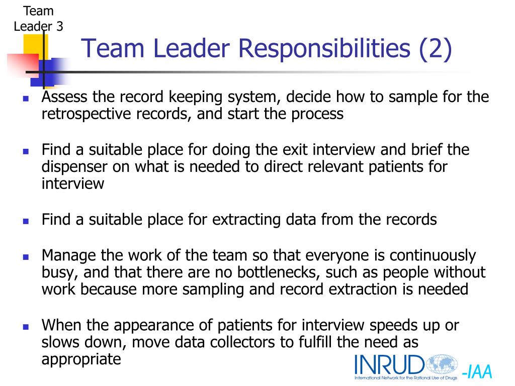 PPT Team Leader Role PowerPoint Presentation, free