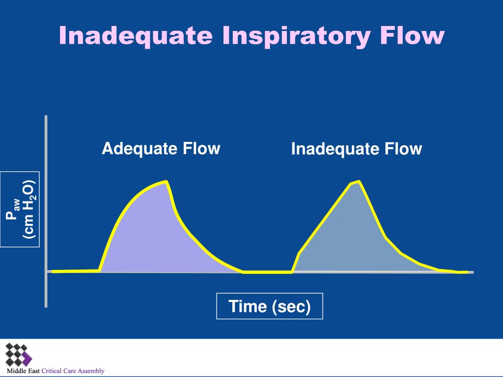 PPT Basic Pulmonary Mechanics during Mechanical Ventilation