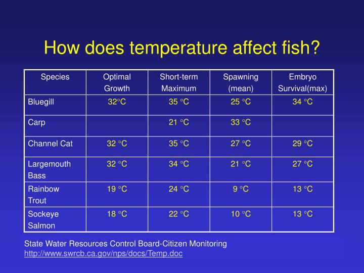 PPT Water Quality Parameters PowerPoint Presentation ID1758083