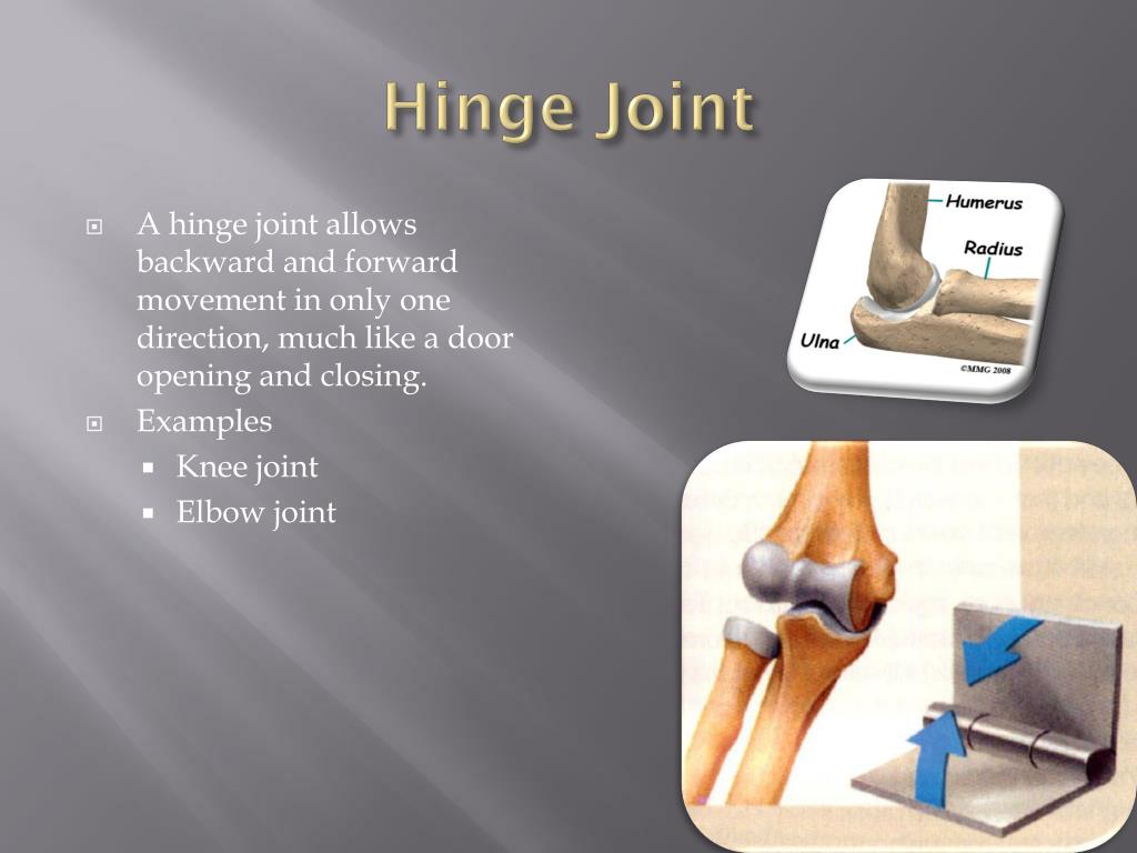 PPT Orthopedic Surgery PowerPoint Presentation, free download ID