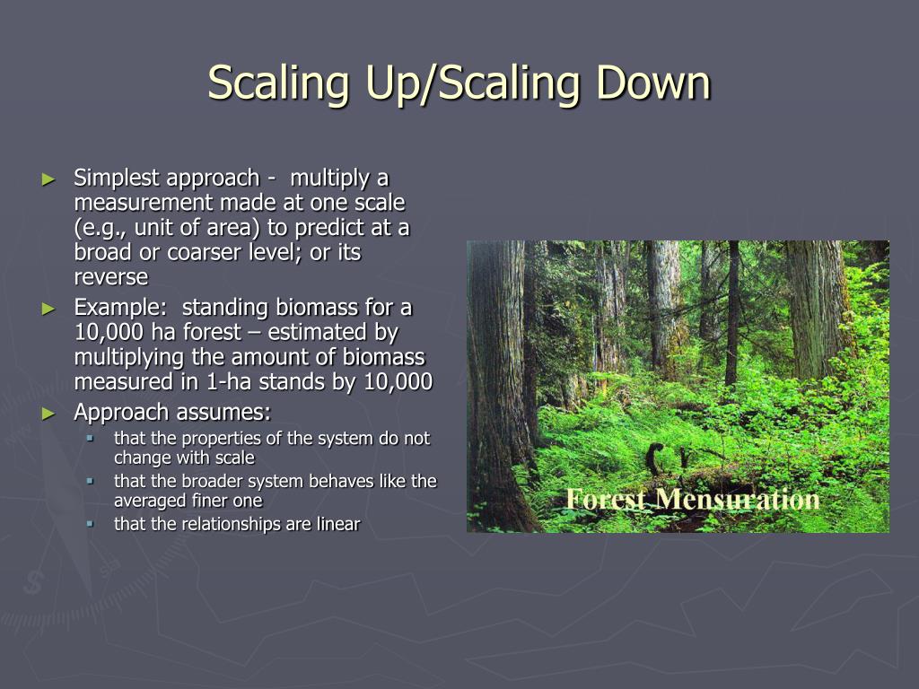 PPT The Concept of Scale PowerPoint Presentation, free download ID