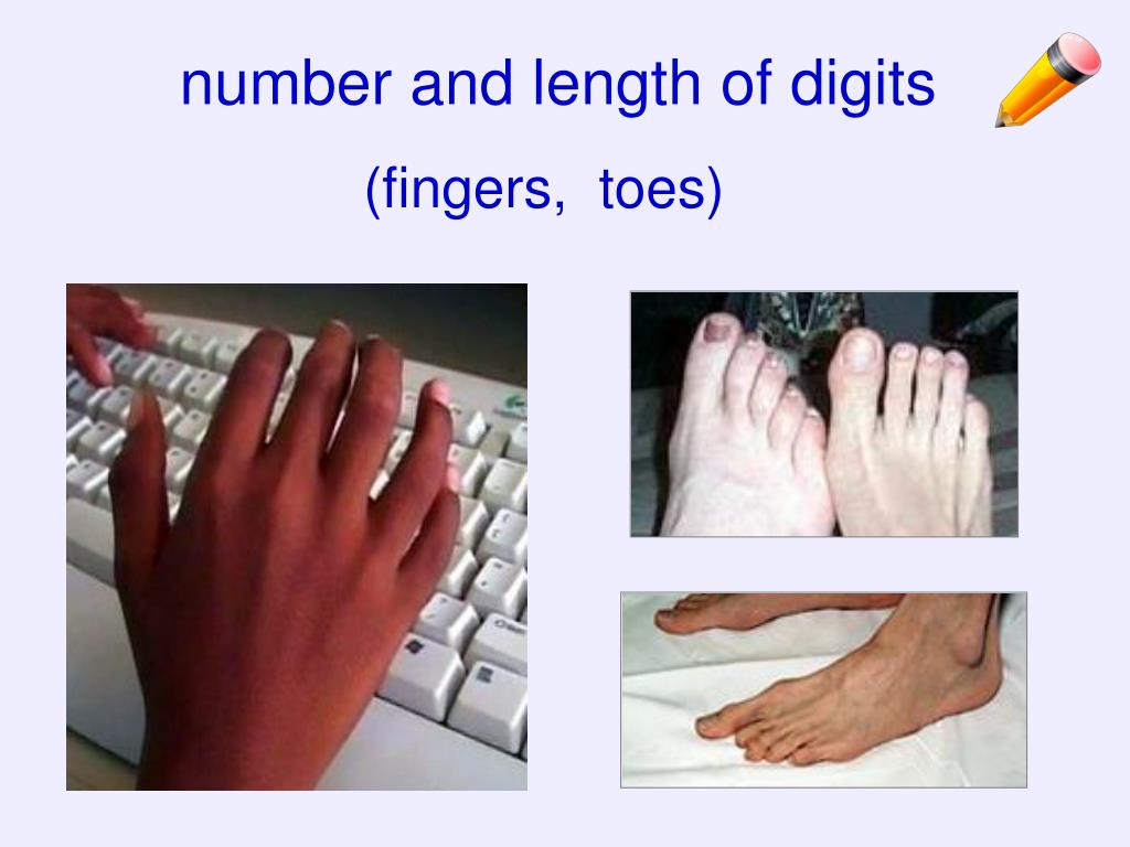 PPT and Heredity Part I Intro and Vocab PowerPoint