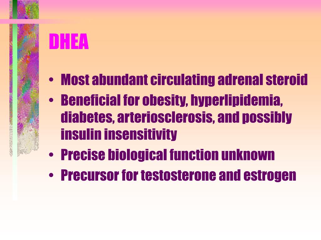 PPT DHEA EFFECT ON INSULIN RESISTENCE IN OBESE ZUCKER RATS PowerPoint