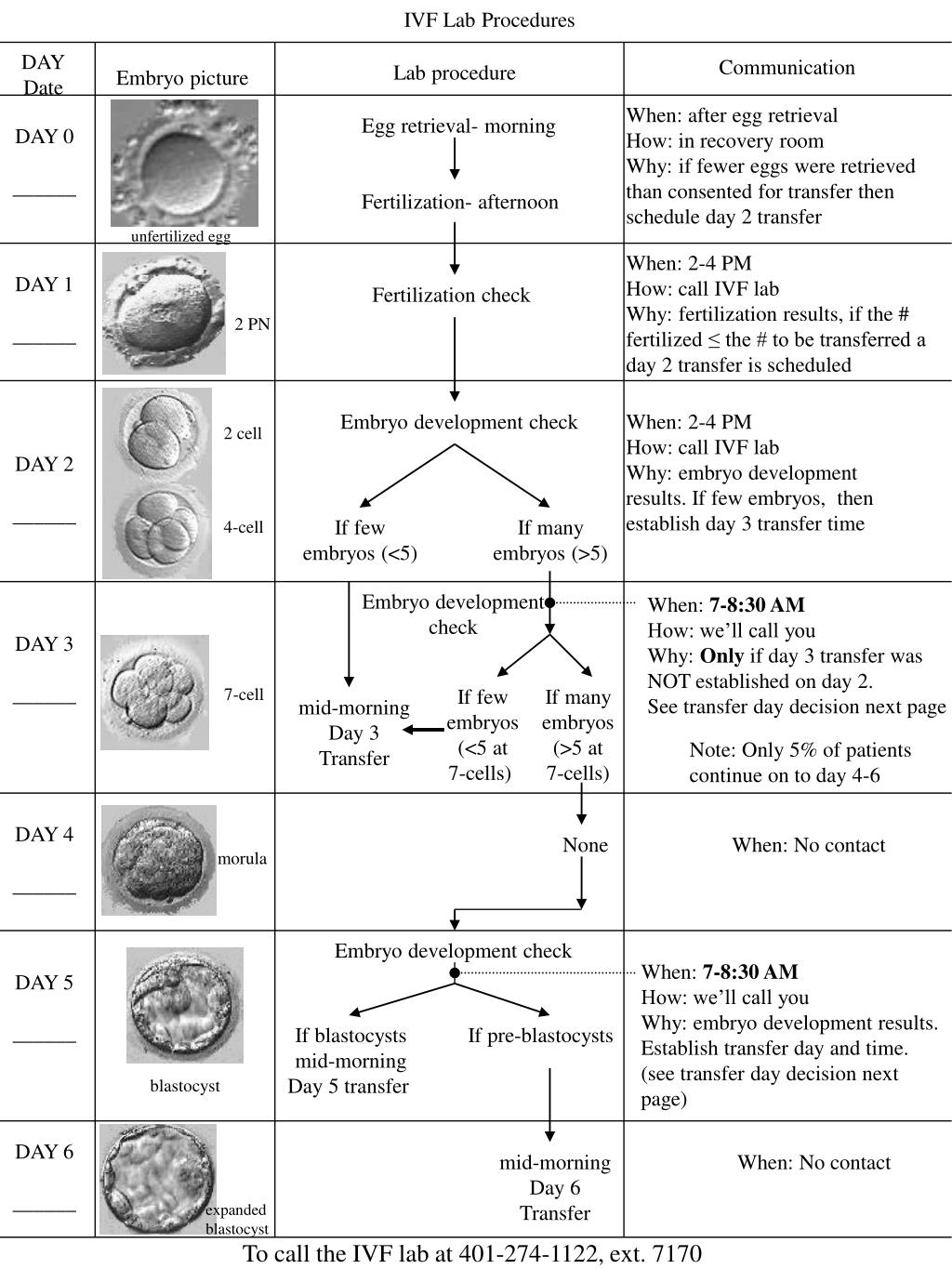 PPT IVF Lab Procedures PowerPoint Presentation, free download ID
