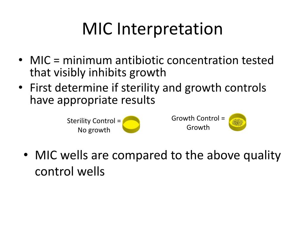 PPT Interpretation/Evaluation of Laboratory Data PowerPoint